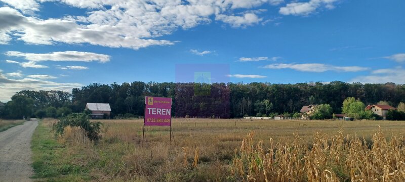 Gulia teren 11.157 mp, langa Padurea Cereanca